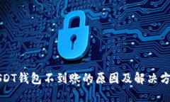 USDT钱包不到账的原因及解